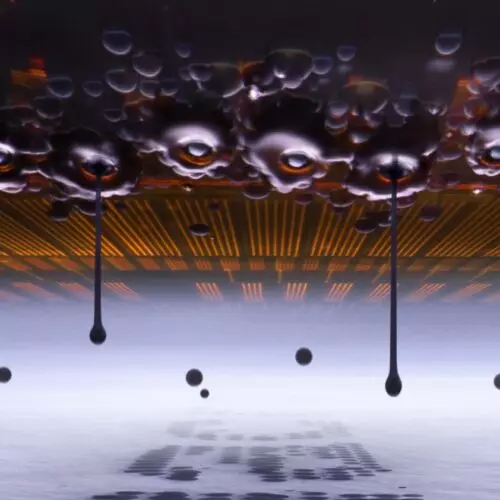 Ink droplets in motion snag top prize in Nikon Small World contest