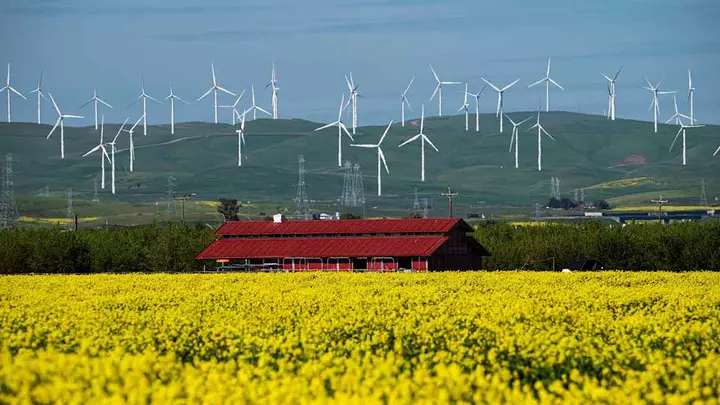 Trump’s losing battle with green energy