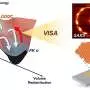 Controlled vapor treatment guides molecules into highly oriented soft quasicrystals