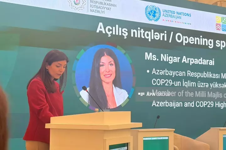 Nigar Arpadarai: Dekarbonizasiya ənənəvi enerji sektorundan imtina kimi başa düşülməməlidir