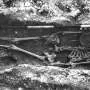 'Lost' Iron Age cemetery reanalyzed more than 70 years after its finds went missing