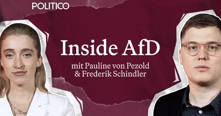 Die AfD-Leaks
