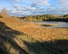 Country diary: The light and shade of autumn’s shortening days | Merryn Glover