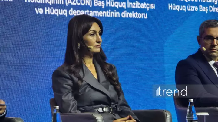 AI Azərbaycan vergi yoxlaması müddətini 7-9 həftəyə endirir, Vergi Xidməti bildirir