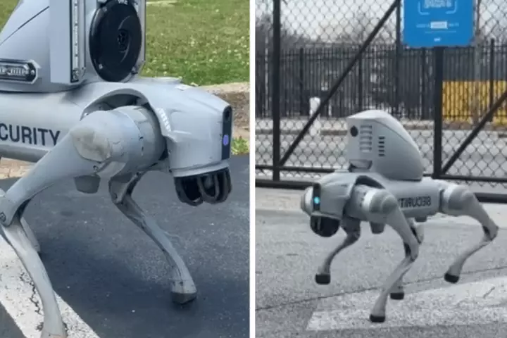 Exclusive: Robot Dog Helps Catch Double Murder Suspects