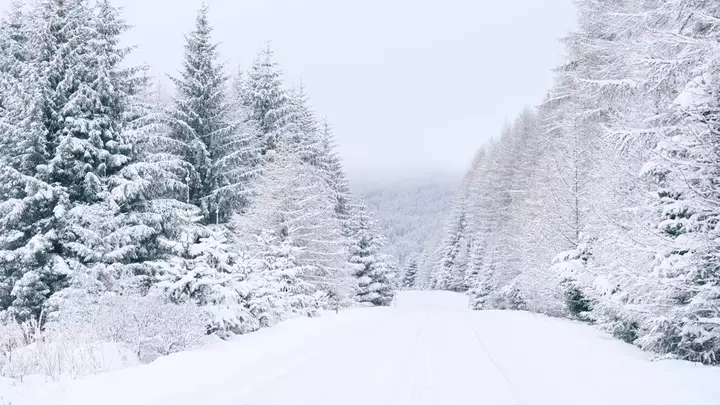 Map Shows 60 Inches of Snow Coming to 3 States in Mountains This Weekend