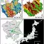Rain gardens offer a balanced solution for managing urban stormwater near Tokyo
