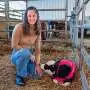 Virus that sickens cows, kills deer still rare in New York state—for now