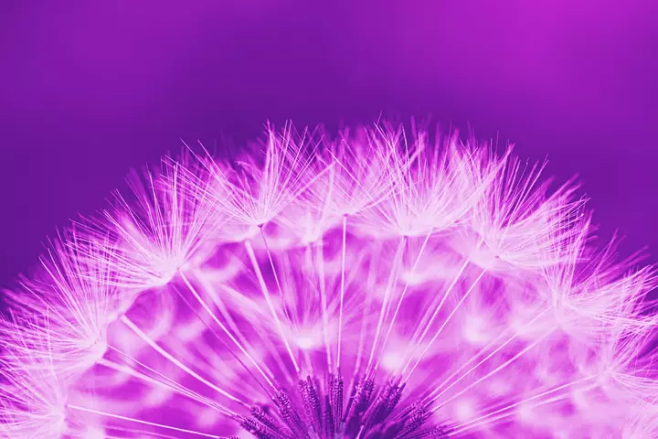 No, You’re Not Crazy. Seasonal Allergies <i><em>Can</em></i> Mess With Your Skin