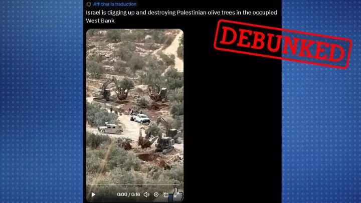 Yes, Israeli settlers are ripping up West Bank olive trees – but this video is fake