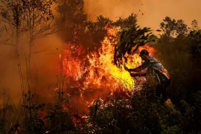 Fire pollution killed 3,560 people in Indonesia in September, report says