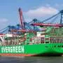 Firms facing tariff shocks choose collaboration over conquest