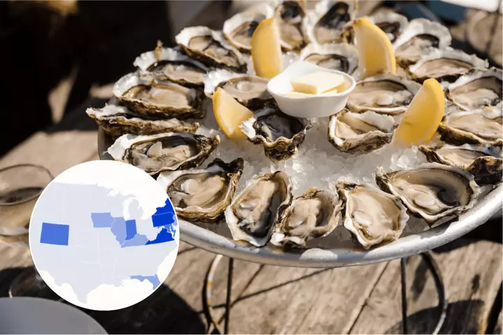 Oyster geri çağırma xəritəsi Salmonella partlayışından təsirlənən ştatları göstərir