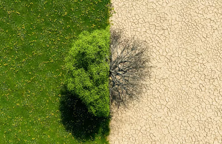 Climate Overshoot Needs a New Generation of Researchers | Opinion