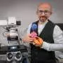 Zombie bacteria keep building DNA after death