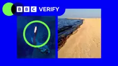 Oil spill washes up on UAE beaches after tanker strike