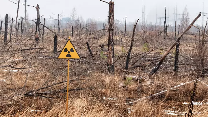 40 years later, Chernobyl's nuclear fallout is not what scientists expected