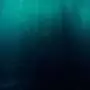 The ocean's most abundant 'loner' microbe has a sticky second life