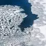Winter sea ice loss may be underestimated, ancient clues from a warmer Arctic suggest
