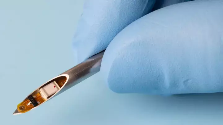Tiny implants can use the body itself to talk to each other