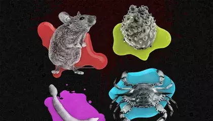 The Bloody Palette of the Animal Kingdom Goes Far Beyond Red. These Creatures Have Blood That Runs a Chilling Blue, Bright Green or Milky White
