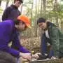 Climate warming can slow how tree roots feed soil microbes