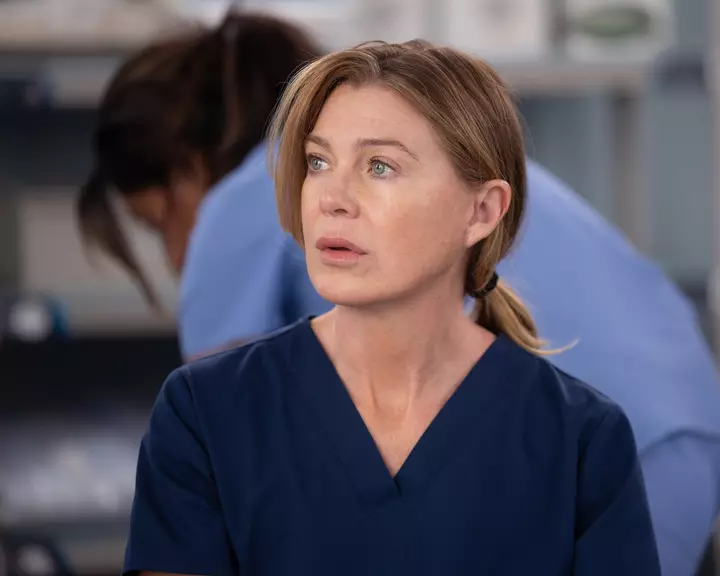 Your Guide to the ‘Grey’s Anatomy’ Season 23 Cast and Characters