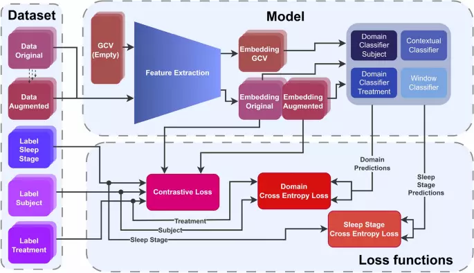 Global context integration for pharmacologically robust preclinical sleep stage classification