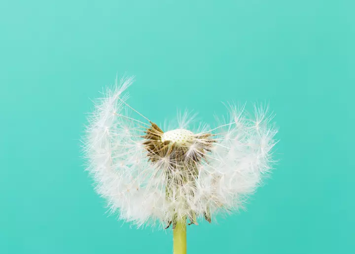 Yes, GLP-1 Hair Loss Is Real. But It Doesn’t Last Long—and You Can Minimize the Damage.