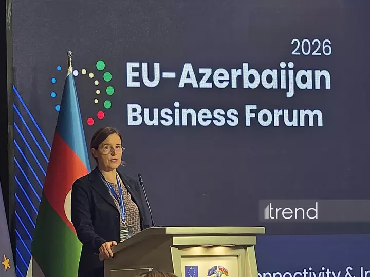 AB Azərbaycan‑ın strateji sektorlarına investisiya cəlb etməyə çalışır