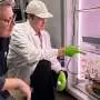 With climate-resilient crops in mind, study tackles flaw in photosynthesis