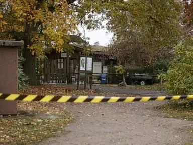 Alman zooparkında 8 yaşlı qızı qurd hücum etdi