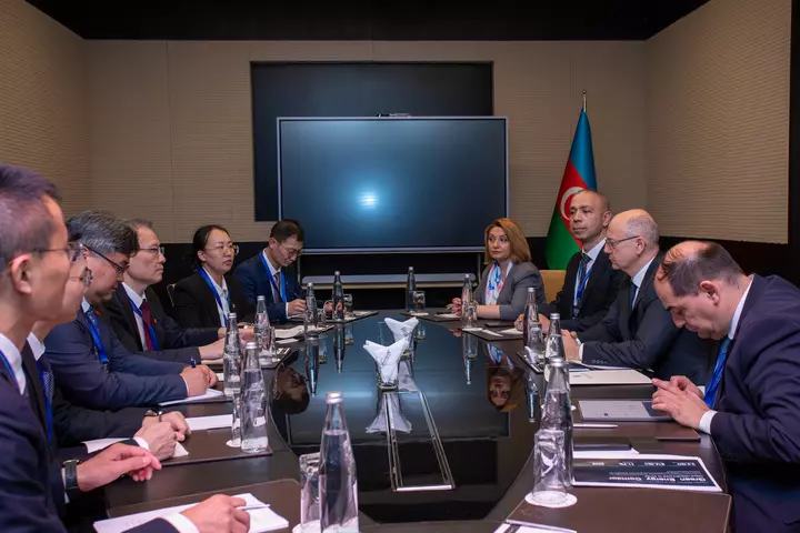 Çin şirkəti “Yaşıl Enerji Dəhlizi”ndə iştirak imkanlarını araşdıracaq