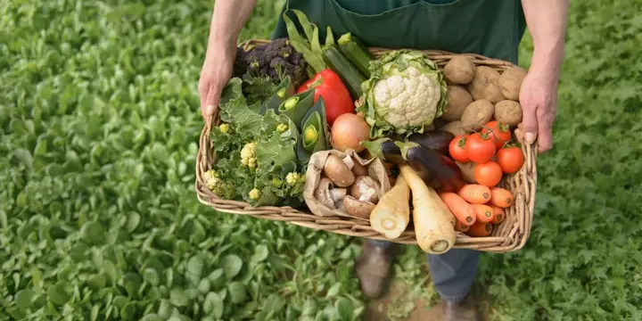 Latvia targets expanding dairy, meat and food tech exports to Kazakhstan (Exclusive)