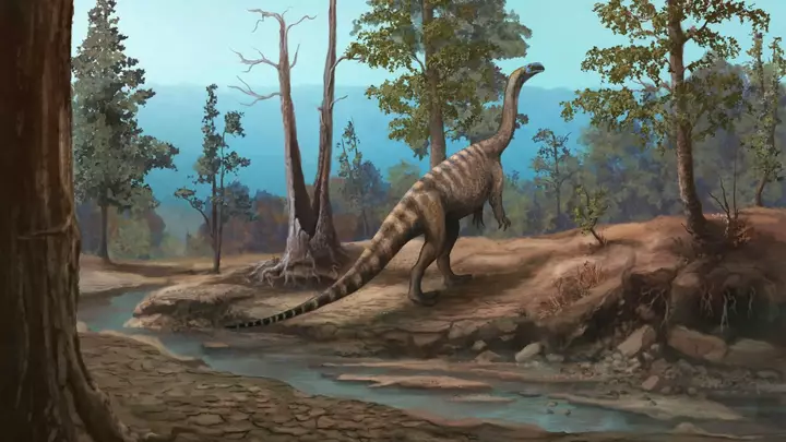 210 milyon illik dinozavr kəşfi Afrikada itirilmiş bir dünyanı ortaya qoyur