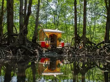 Coastal construction threaten mangrove forest that protects Vietnam's biggest city