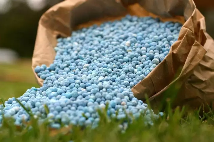 Azərbaycanın azot gübrəsi ixracı 23.5% azalıb, metanol ixracının dəyəri 8% artdı