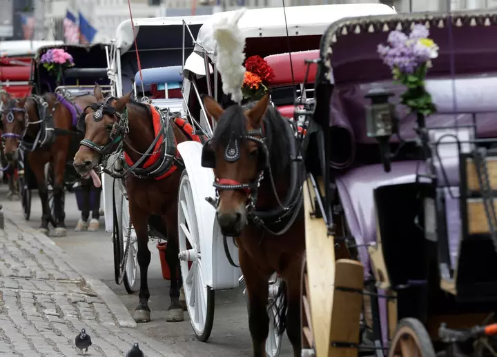 Why Zohran Mamdani Aims to Ban NYC's Iconic Horse-Drawn Carriages