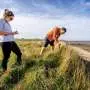 Salt marshes are proving to be powerful allies in building a climate-resilient coastline