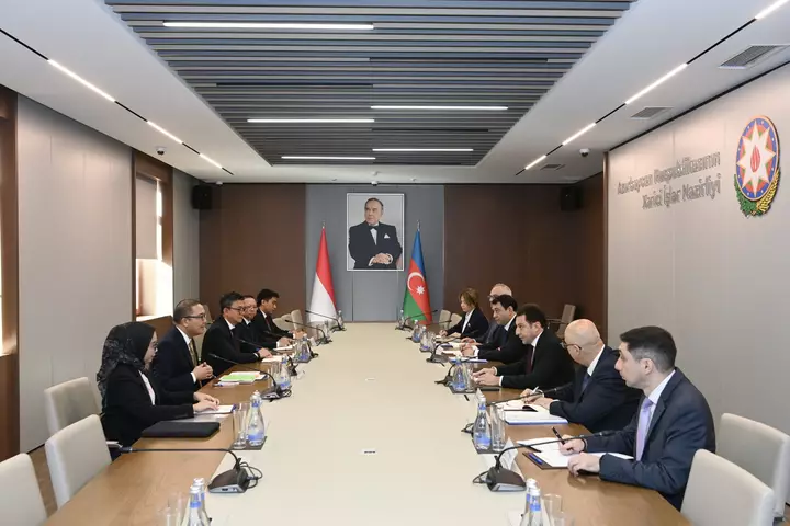 Azərbaycan, İndoneziya 2027-ci il OİC Sammitinin hazırlıqlarını müzakirə edir (ŞƏKİL)