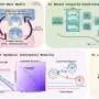 Machine learning reveals potential warning signal for polar vortex disruptions
