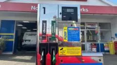 Job cuts could fund diesel price drop says deputy