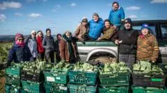Gleaning group gives £1m of produce to food banks