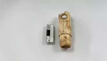 Crafted From Bone, This 2,800-Year-Old Flute Unearthed in Troy May Have Been Played Around the Time That Homer Composed 'The Iliad' and 'The Odyssey'