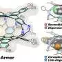 'Molecular armor' can trap shape-matched planar molecules