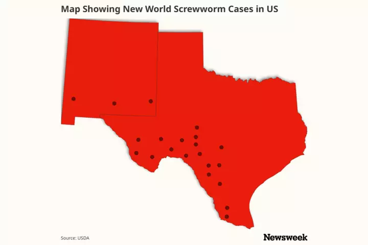 New World Screwworm Map Shows US Cases as Parasite Found in Texas Elk