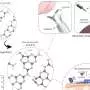 Metal-free magnetic sensor can be safely implanted for wireless monitoring
