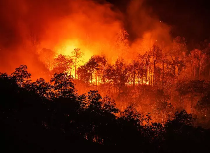 Rising fires across Africa’s tropical forests raise fears for Congo basin