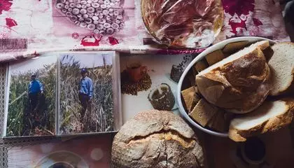 An Italian Farmer Found Some Unknown Seeds in His Attic and, With Nothing to Lose, Planted Them. The Result Was Almost Biblical