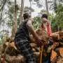 Global deforestation slowed in 2025 but surged in Congo basin: Study